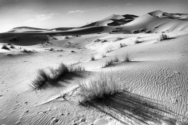 Erg Chebbi Dessert