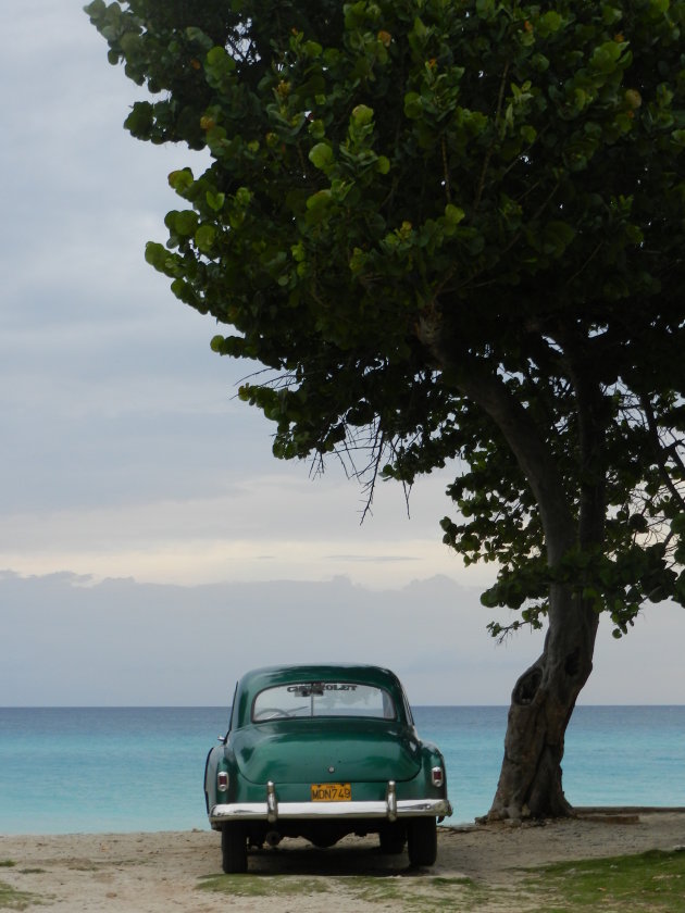 Lonely car