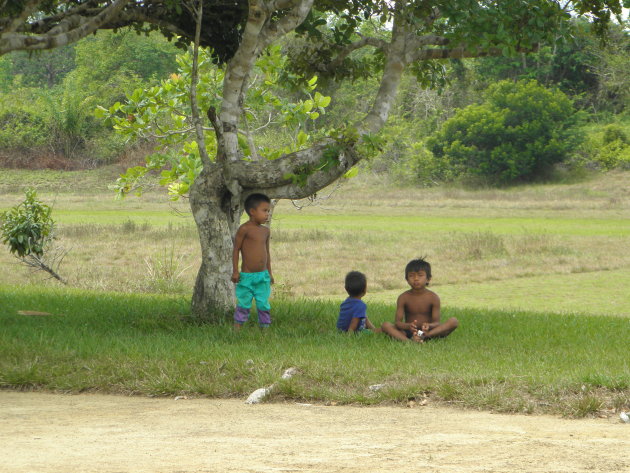 Palumeu diep in de jungle van Suriname