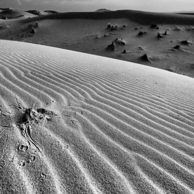 Erg Chebbi