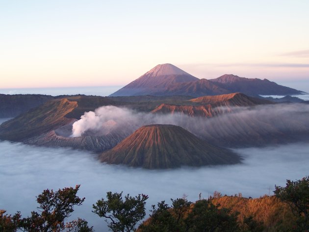 Bromo