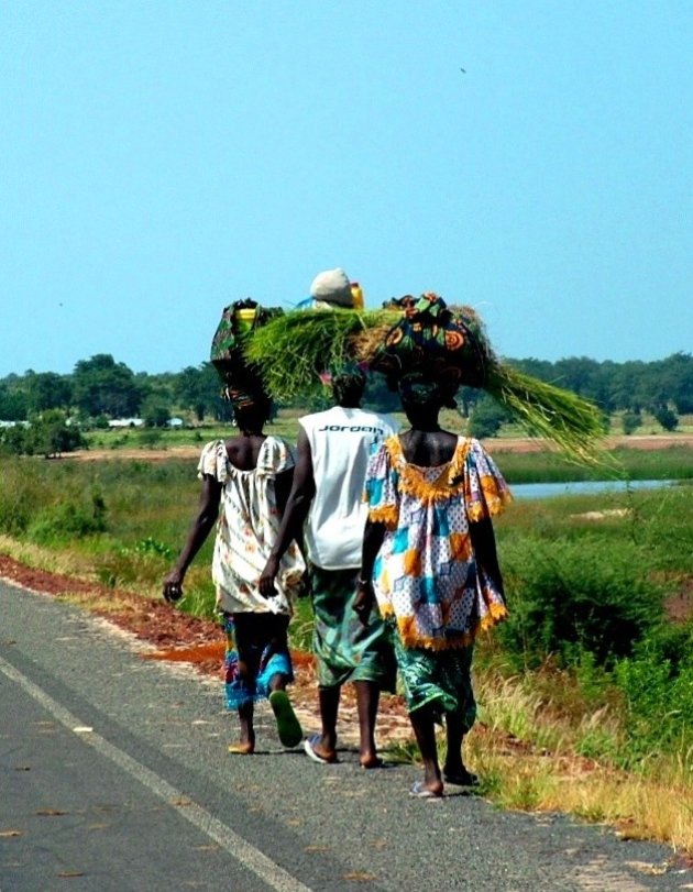 Langs de weg