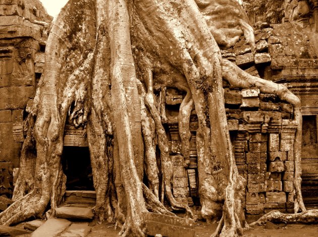 Ta Prohm