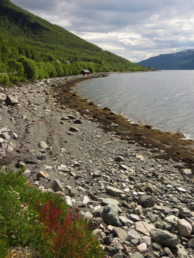 Fjord tussen Oldefjord en Sorkjosen