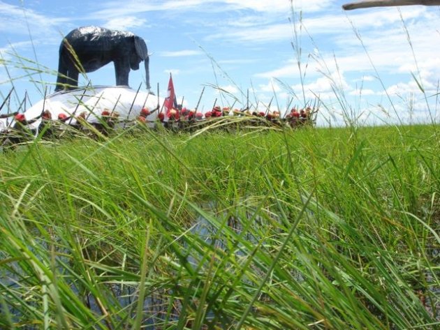 Kuomboka, varen door het gras