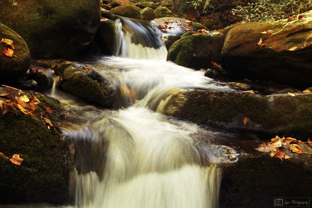 lange sluitertijd in de Smokie Mountains