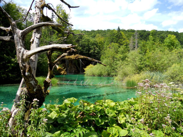 Natuurschoon