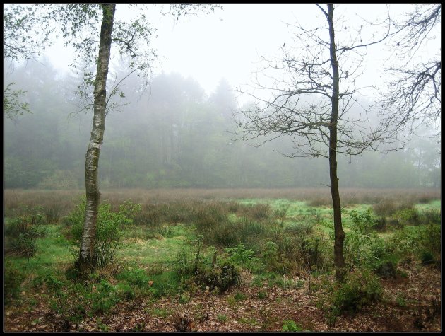 Drenthe in de mist