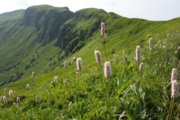 wandelen op de Puy Mary