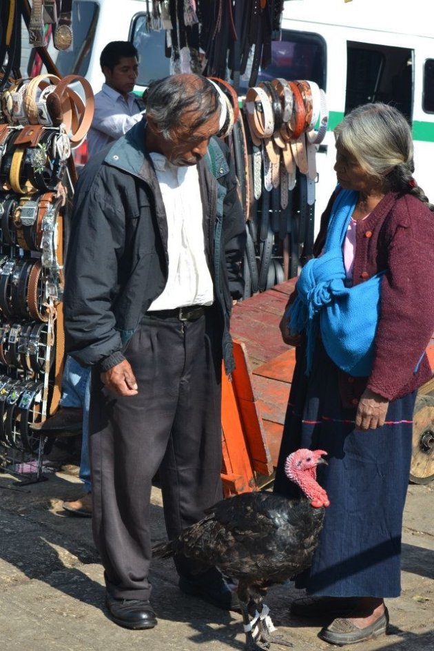 Kalkoen op de markt