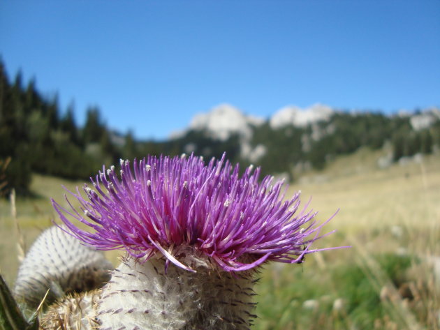 National Park Sjeverni Velebit