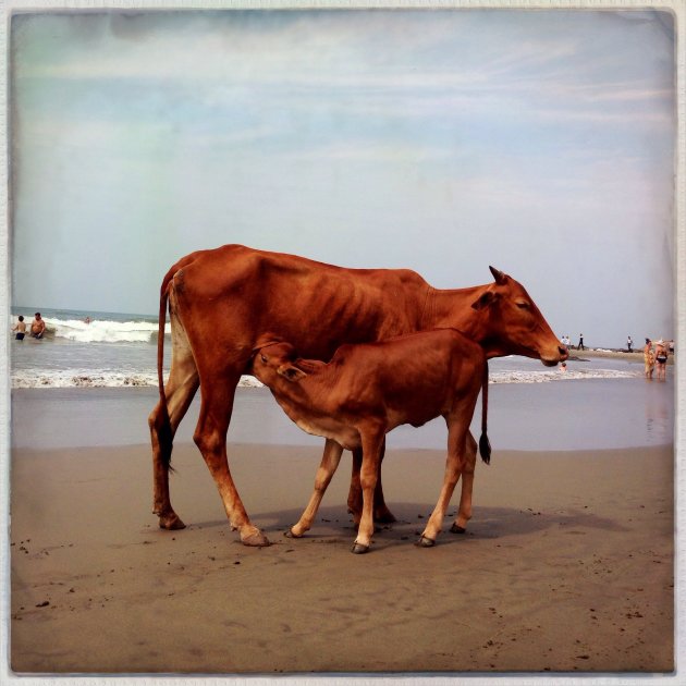 Moederliefde aan het strand