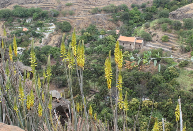 Ribeira Grande