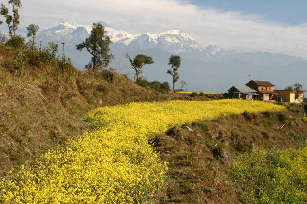 Nabij Sarangkot