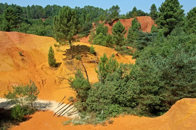 Colorado Provencal 