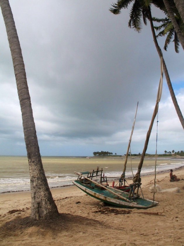 Maracajaù