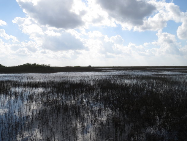 Everglades, Florida