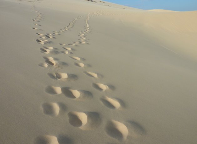 Witte zandduinen van Mui Né