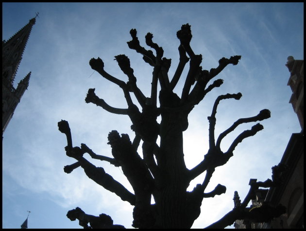 bijzonder silhouet