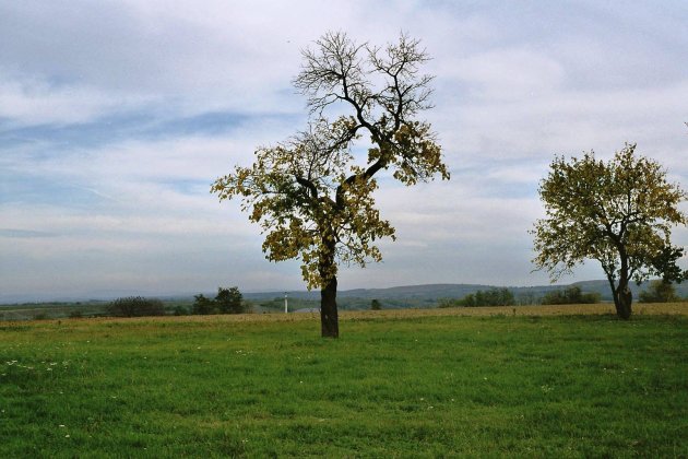 hoogvlakte bij Ilok