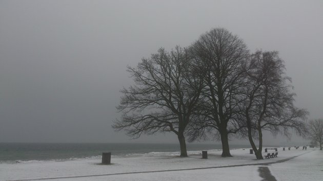 Kustlijn boven Kopenhagen in de winter