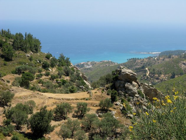 Ikaria