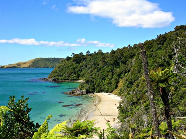 Stewart Island