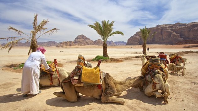 Startpunt  Wadi Rum