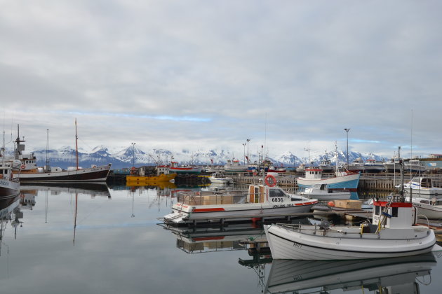 Haven Husavik