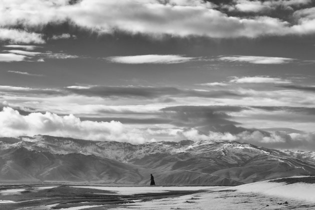 Herder, Mongolie