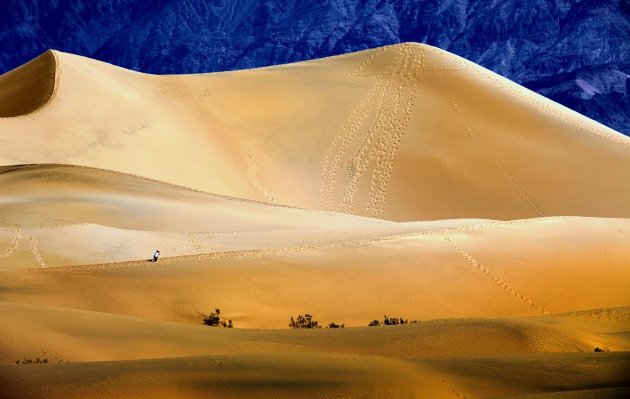 Mesquite Flat Sand Dunes