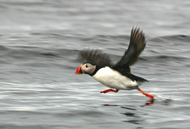 Ready for take-off