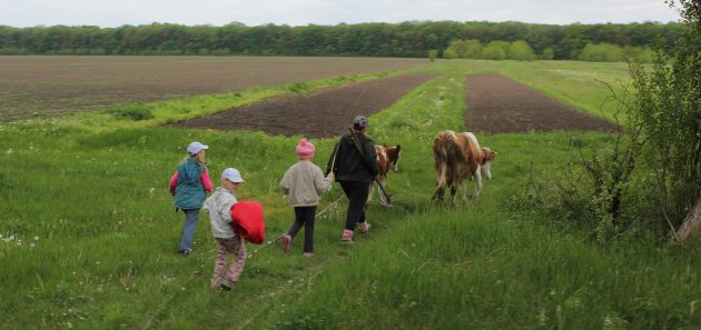 Werken op het land