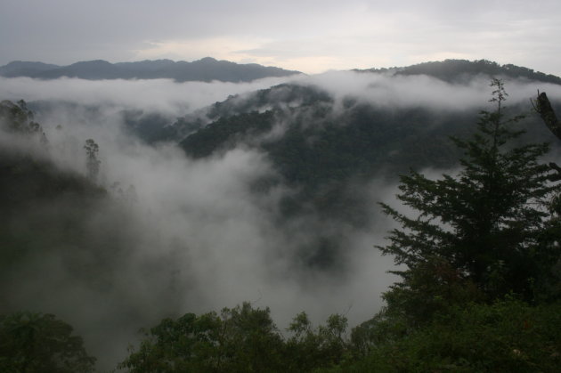 bwindi cloud forest