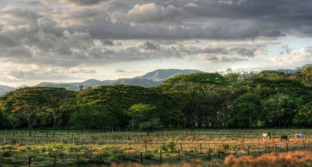 Rustiek Costa Rica