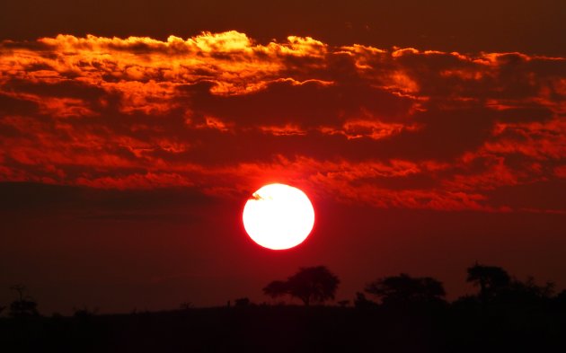 Afrikaans rood