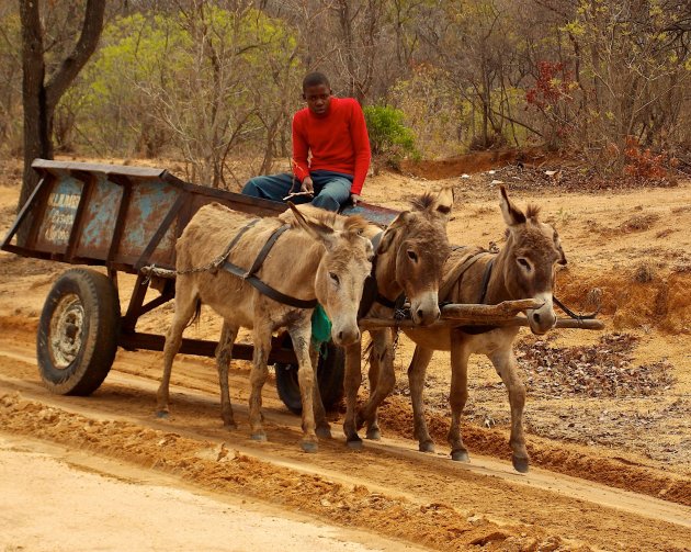 Goedkoop transport