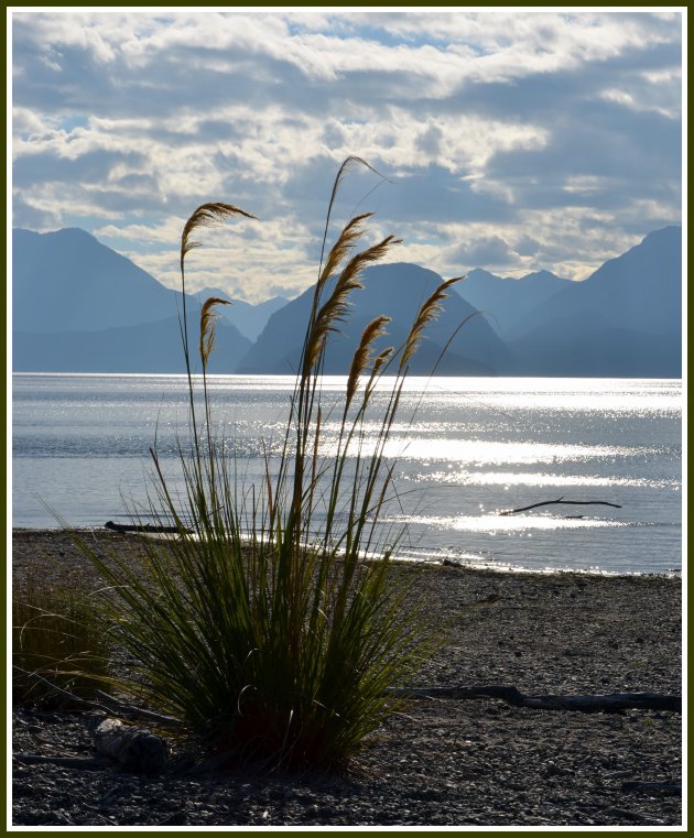 Lake Manapouri Kepler Track Nieuw Zeeland