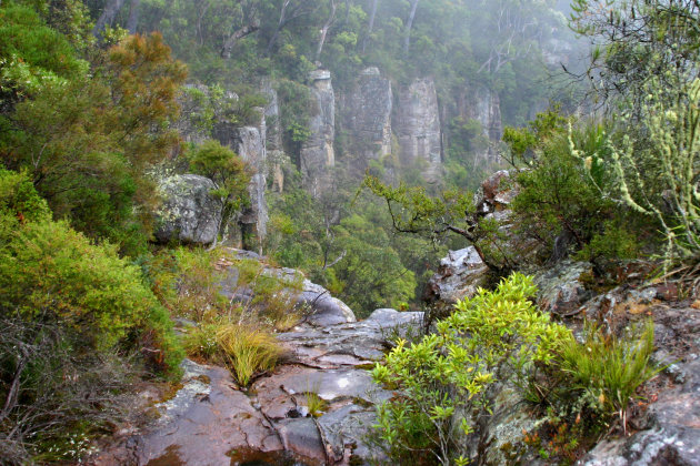 Bovenaan de Carrington Falls waterval (Southern Highlands)