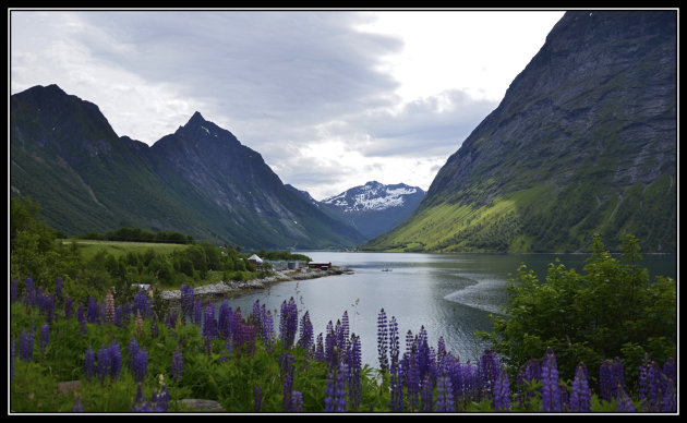 DE NORANGSFJORD 