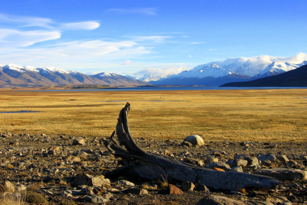 Patagonische steppe