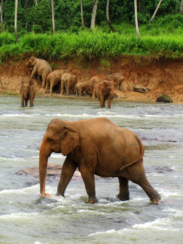 Lopen op water