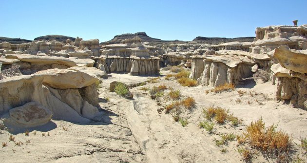 Bisti Badlands