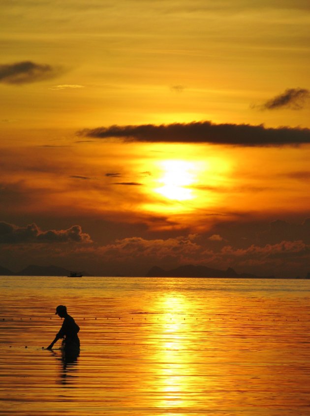 Fishing at Sunset