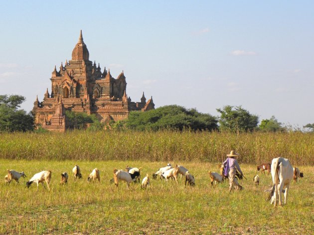 Bagan