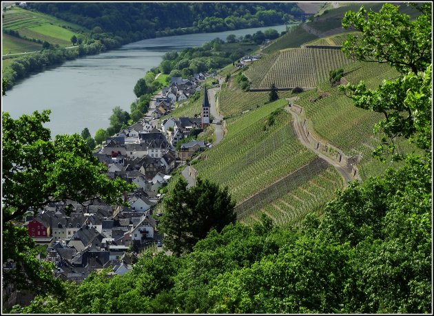 Bremm am Mosel