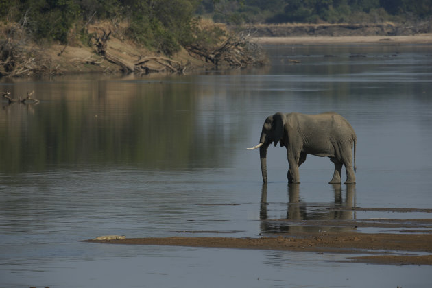 Luangwa rivier