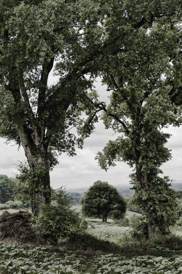 un paysage de conte de fées( landschap van een sprookje)