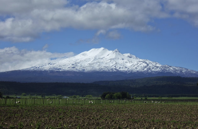 Mount Aspiring National Park