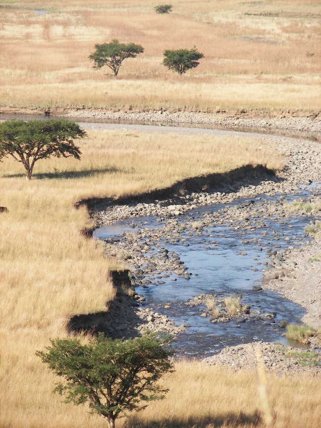 Water in Zuid Afrika, schaarste en verspilling